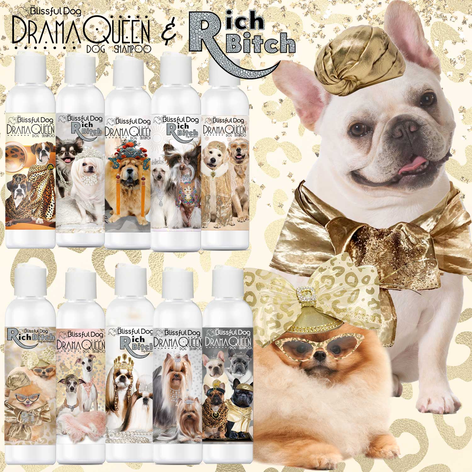 french bulldog shampoo